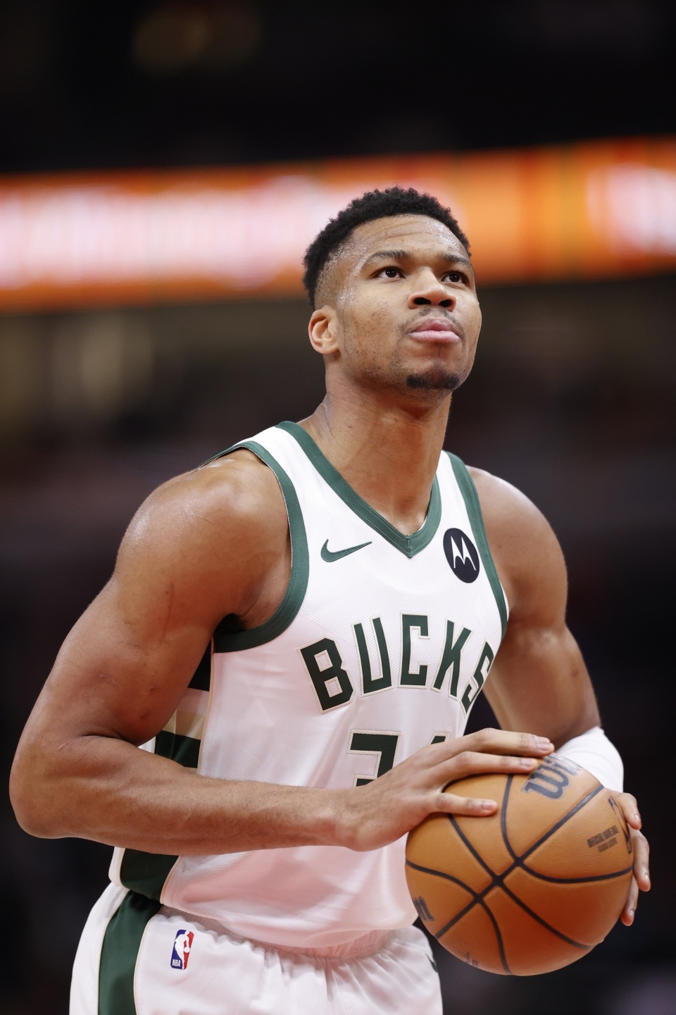 形成新的 形成新的